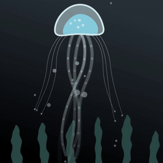 jellyfish3