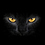 TheDarkTiger